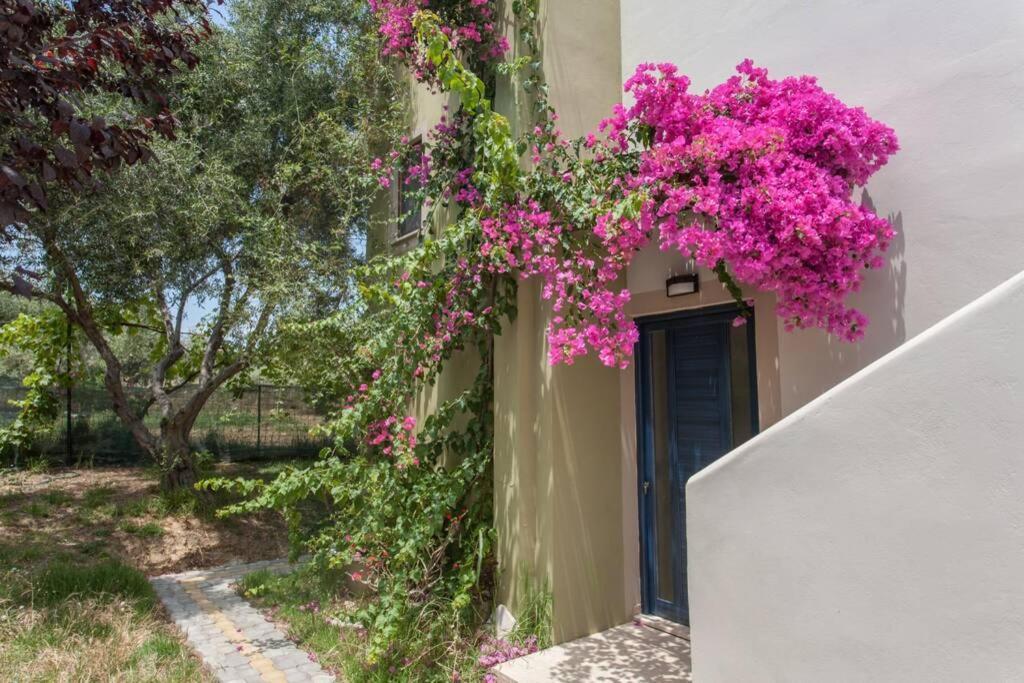 Villa Manolisハニア エクステリア 写真
